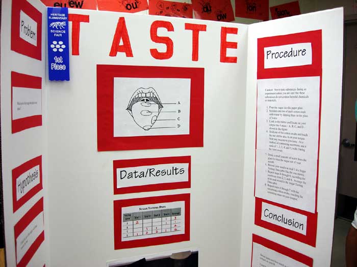 Heritage Elementary School Science Fair